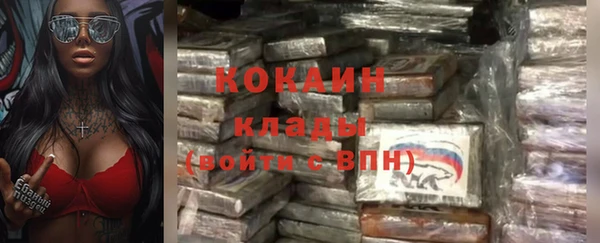 PSILOCYBIN Липки