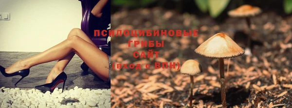 PSILOCYBIN Липки