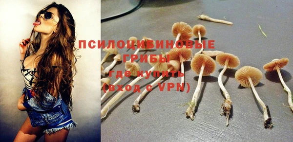 мескалин Волгодонск
