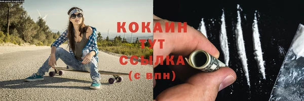 PSILOCYBIN Липки
